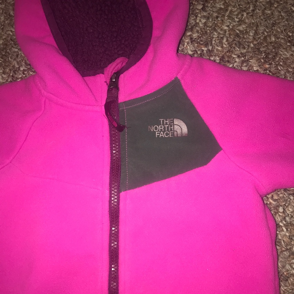 The north face toddler Chimborazo hoodie